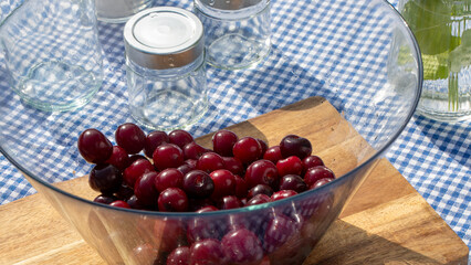Cherries in glass bowl, picnic nostalgia under sapphire gingham, savor cherry tart day and vibrant fruit harvest festivals