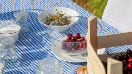 Sunlit garden picnic with ripe cherries, evoking Bastille Days joie de vivre and Cherry Festival's fruity festivities