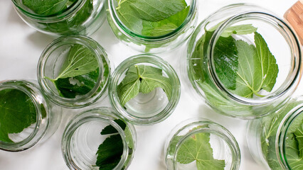 Jars filled with verdant leaves evoke a mystical apothecary vibe, perfect for National Herbalist Day or Midsummer rituals
