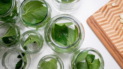 Jars of emerald leaves beckon herbal elixirs, evoking Earth Day inspirations and the esoteric...