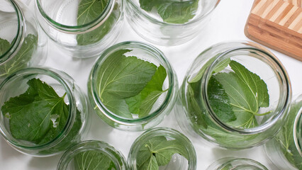 Jars cradling verdant leaves evoke Midsummers herbal mystique, crafting homemade potions for...
