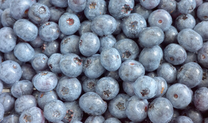 Close up photo of fresh blueberries, selective focus.
