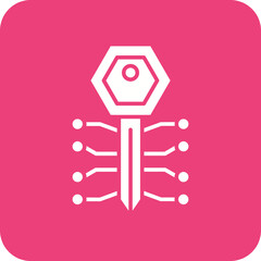 Key Icon