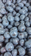 Close up photo of fresh blueberries, selective focus.