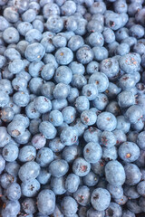 Close up photo of fresh blueberries, selective focus.