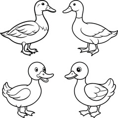 Duck drawing. It is a simple black and white outline image of a common duck standing, ready for coloring. Vector sketch line art draw.
