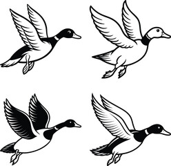 Duck drawing. It is a simple black and white outline image of a common duck standing, ready for coloring. Vector sketch line art draw.
