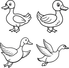 Duck drawing. It is a simple black and white outline image of a common duck standing, ready for coloring. Vector sketch line art draw.
