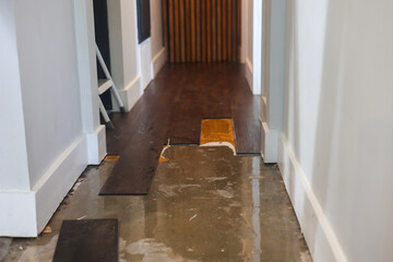 Slab Leak Water Damage Under Laminate Flooring