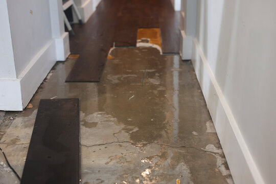 Slab Leak Water Damage Under Laminate Flooring
