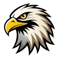Eagle Mascot with Sharp Eyes and Detailed Feather Vector Illustration