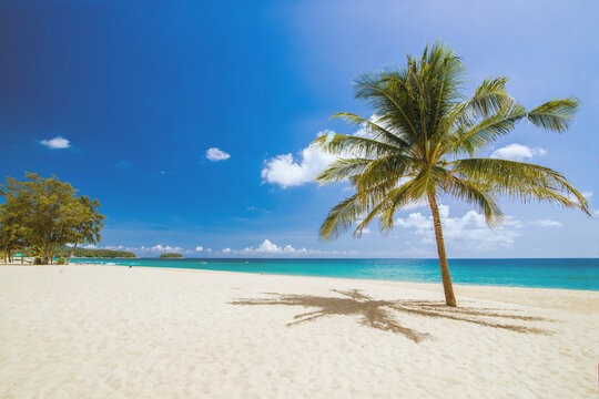 Tropical paradise beach with white sand and coco palms travel tourism wide angle background concept.