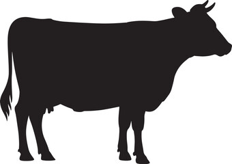 Silhouette of a black cow standing on a white background