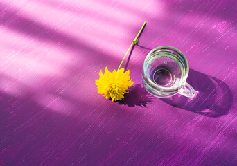 Bright summer background violet and yellow still life, glass of water and yellow flower on purple...