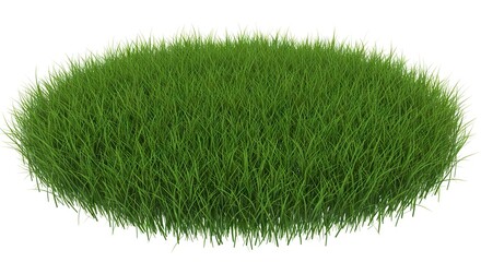 Circular green grass patch on a white background