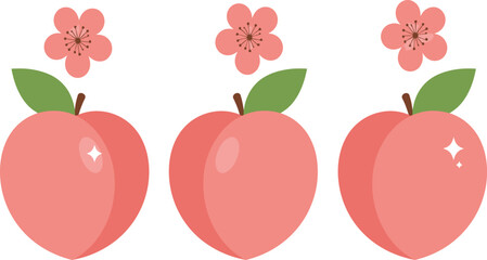 Three ripe peaches with green leaves and pink flowers isolated on transparent background