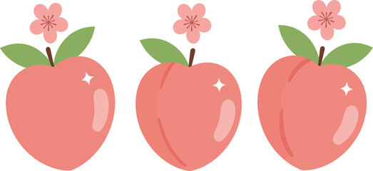 Three ripe pink peaches with green leaves and small pink flowers isolated on transparent background