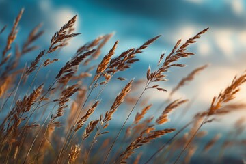 Obraz premium Dreamy blurred background of tall grasses swaying beneath a soft sunset sky, with ethereal blue and white tones creating a peaceful and atmospheric natural scene