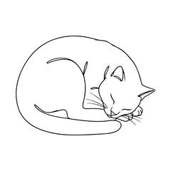 A minimalist black and white sketch depicts a domestic cat peacefully sleeping, curled into a tight ball with its head resting on its paws.