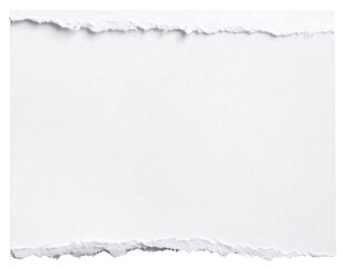 Fototapeta premium Blank torn paper