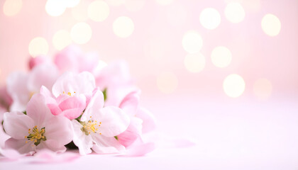 Delicate Pink Apple Blossoms Resting Against a Dreamy, Glowing Bokeh Background