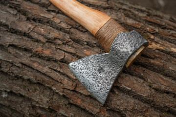 A large axe lies on the bark of a tree - close-up.