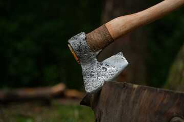 huge axe is stuck into a stump in a green forest - close-up