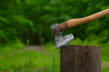 huge axe is stuck into a stump in a green forest - close-up