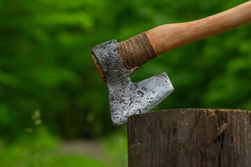huge axe is stuck into a stump in a green forest - close-up
