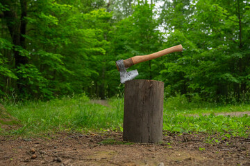 huge axe is stuck into a stump in a green forest - close-up