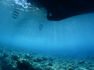 underwater shot of boat parked  with some fish around
