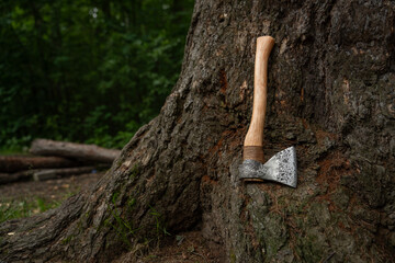 Swedish in an axe on tree bark.