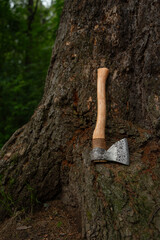 Swedish in an axe on tree bark.