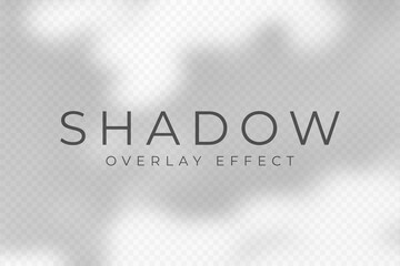 Shadow overlay effect. Transparent soft light and shadows from plant branches, leaves and foliage. Mockup of abstract transparent shadow overlay effect and natural lightning scene. Vector