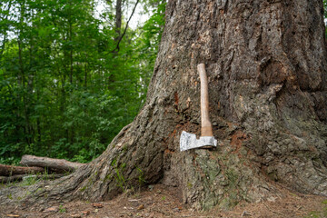 Swedish axe in green forest - close up.