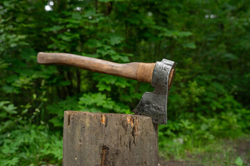Swedish axe in green forest - close up.