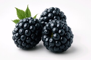 Fresh Blackberries with Leaves on White Background