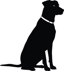 Black Silhouette of Dog Sitting, Canine with Collar, Side View, Pet Illustration, Simple and Clean Animal Design

Black Silhouette of Dog Sitting, Canine with Collar, Side View, Pet 
