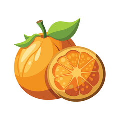 Orange fruit illustration with slice, leaves and stem, isolated