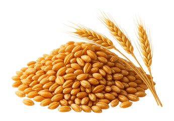 A pile of golden wheat grains and three wheat stalks isolated on a white background, showcasing the harvest and agricultural produce theme.