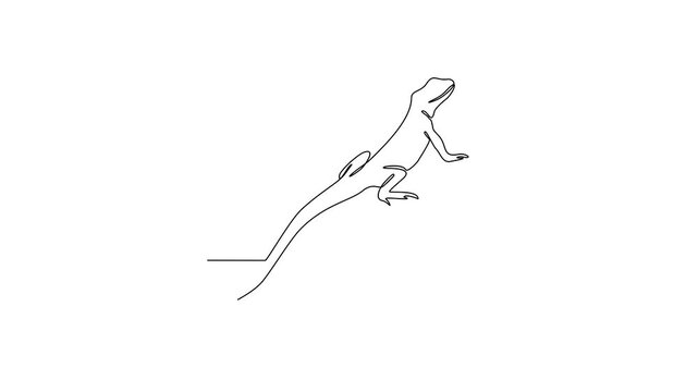 Animated self drawing of world lizard day video design illustration. Animal world day themes design concept in simple linear continuous line. Lizard design for presentation and educational purpose.