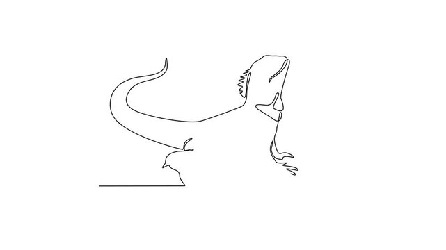 Animated self drawing of world lizard day video design illustration. Animal world day themes design concept in simple linear continuous line. Lizard design for presentation and educational purpose.