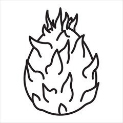 Dragon fruit icon outline vector