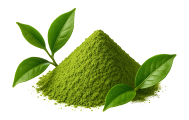 A pile of green matcha powder is accompanied by fresh green tea leaves, illustrating natural ingredients and health benefits associated with herbal tea products.