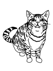A detailed black and white line art illustration of a domestic tabby cat in a seated pose, looking directly at the viewer. Ideal for pet-themed designs, animal concepts, and graphic art.
