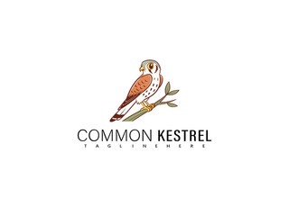 Sweet cartoon Common Kestrel perched on a leafy branch with soft color tones and a cute expressive face, designed for nature-inspired branding, children&rsquo;s educational books, and animal-themed artwork.