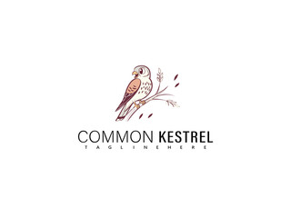 Sweet cartoon illustration of a Common Kestrel perched on a branch with a joyful expression and vibrant feathers, perfect for wildlife-themed children&rsquo;s books, logos, and educational animal character 