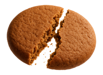 A close-up of a round gingerbread cookie broken in half, showcasing its crumbly texture and rich brown color on a white background.