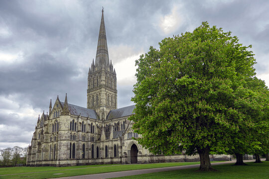 Salisbury Cathedral with Spire and Tree