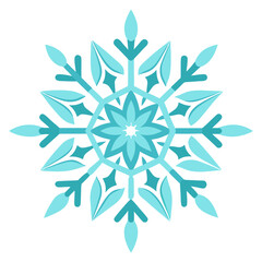 vector snowflake on white